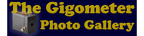 THE GIGOMETER™
Photo Gallery